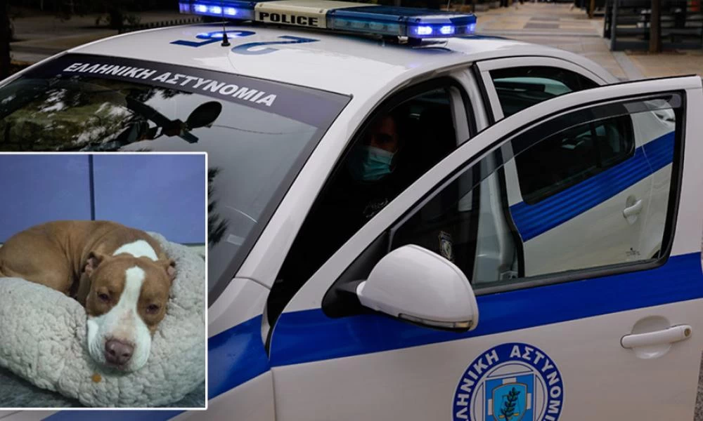 Γαλάτσι: Διευκρινίσεις της ΕΛ.ΑΣ για τον θανάσιμο πυροβολισμό του σκύλου